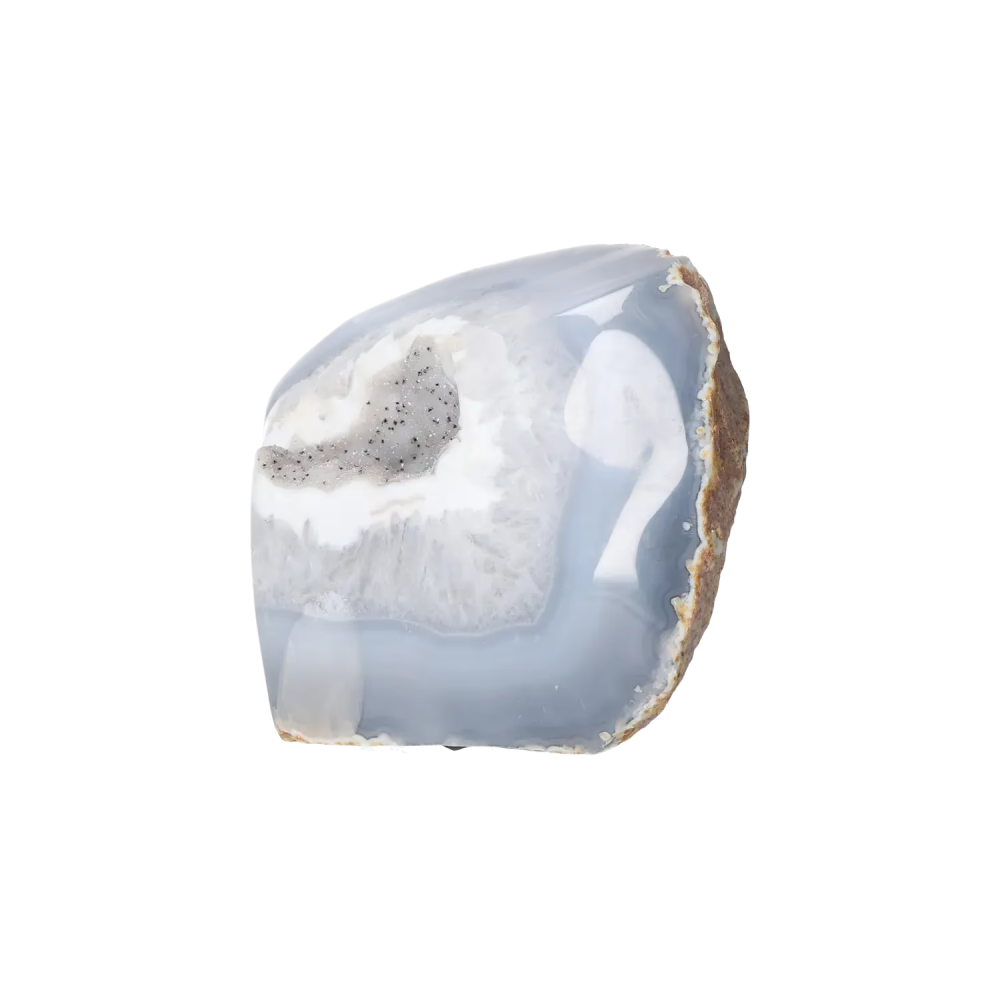 orbitvu|type:image2d