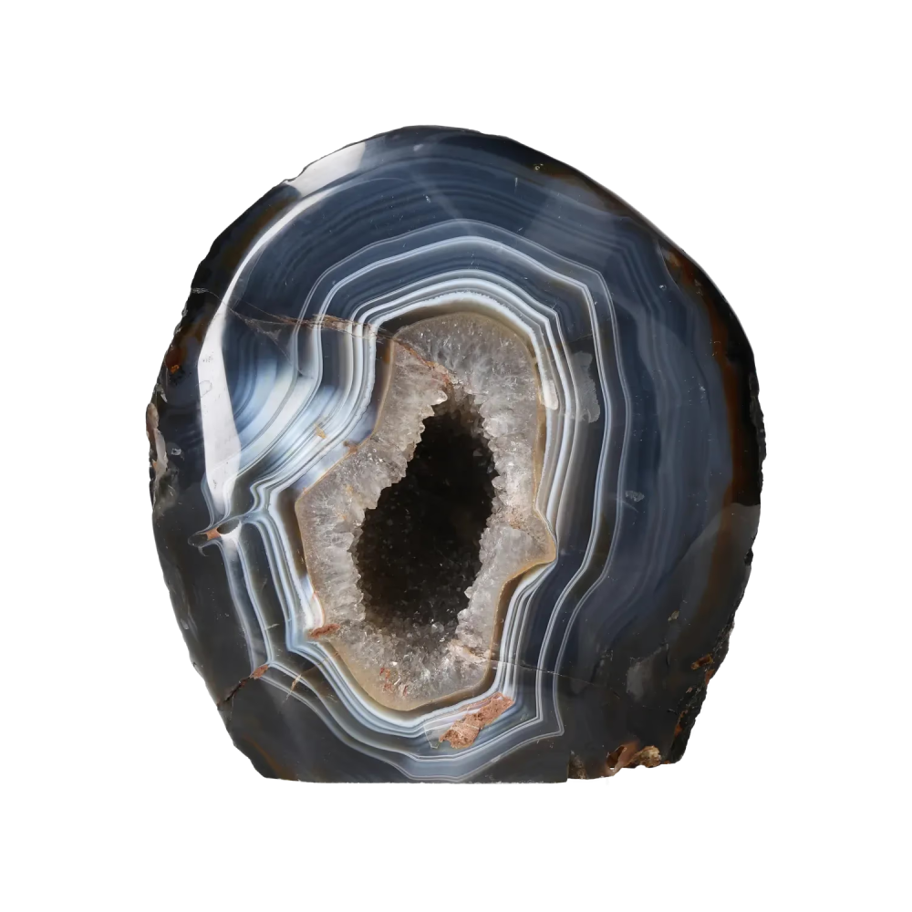 orbitvu|type:image2d