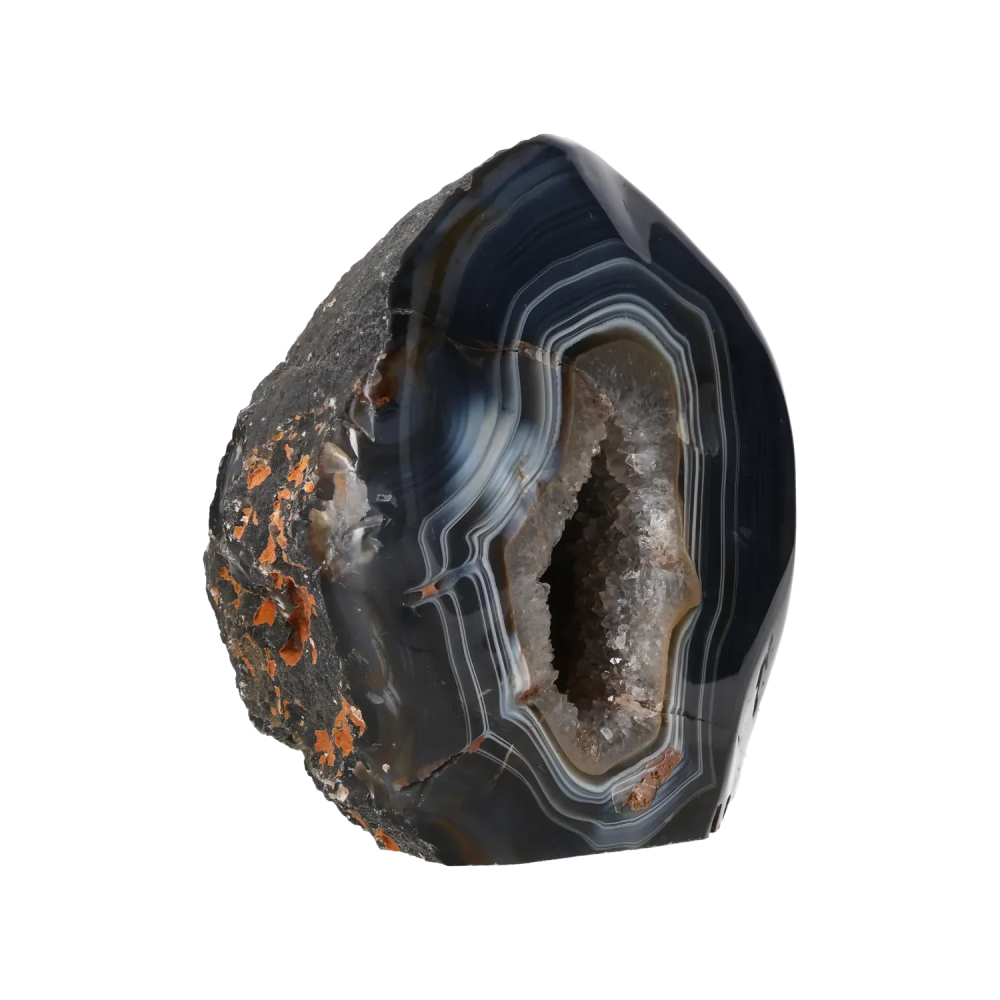 orbitvu|type:image2d