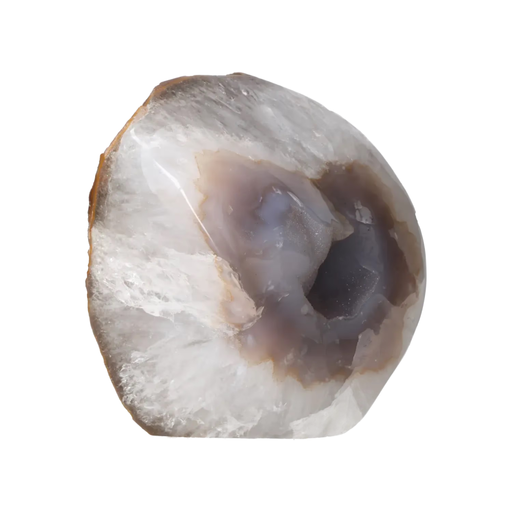 orbitvu|type:image2d