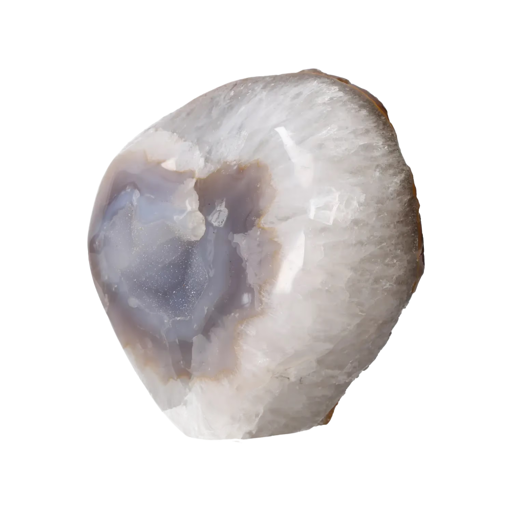 orbitvu|type:image2d