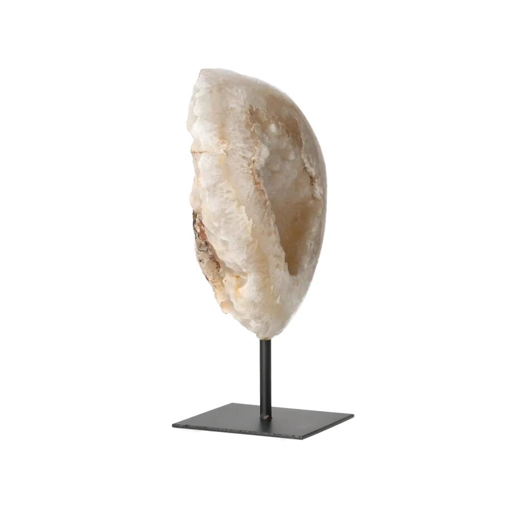 orbitvu|type:image2d