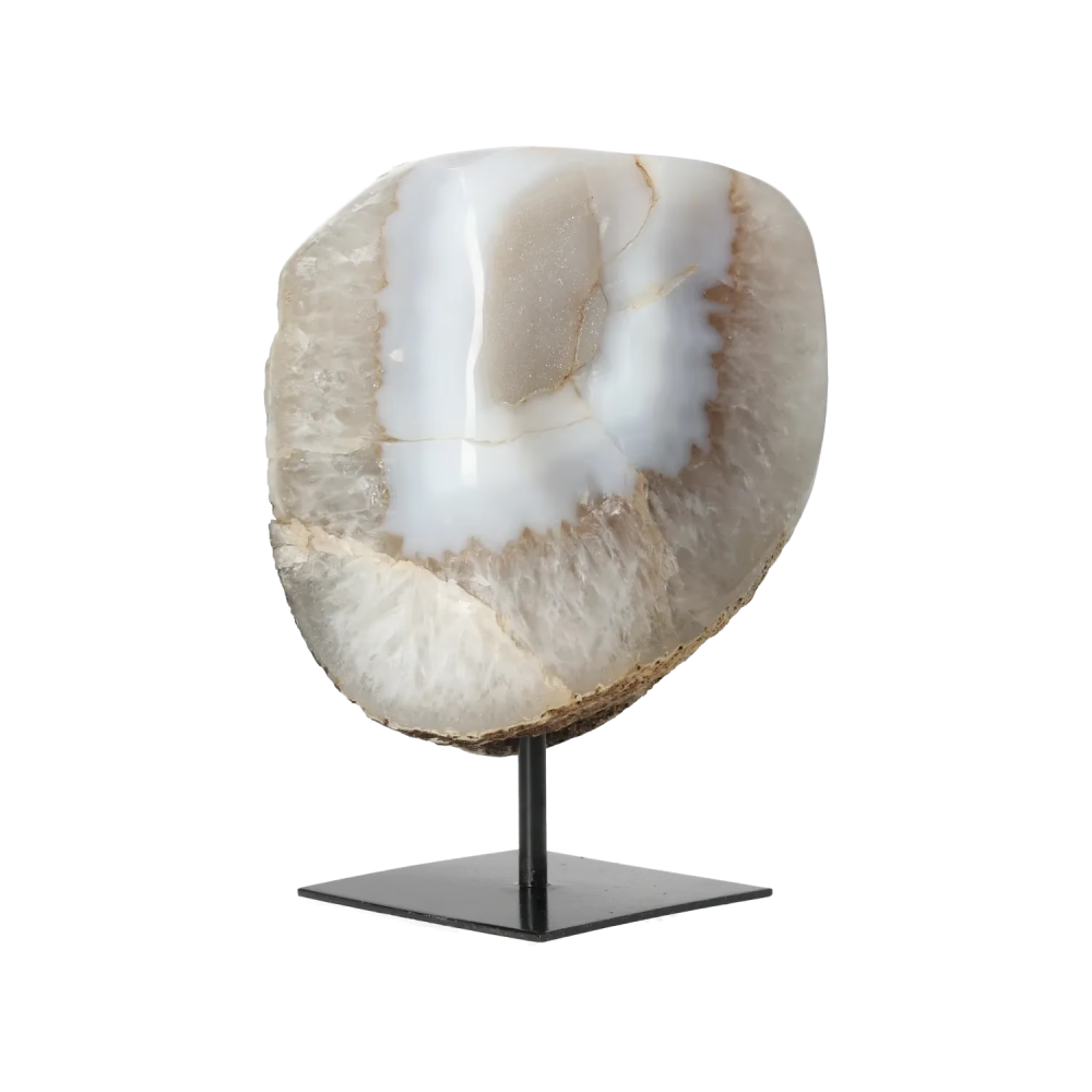 orbitvu|type:image2d