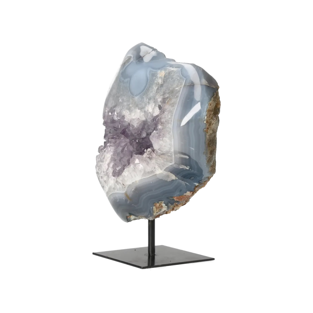 orbitvu|type:image2d