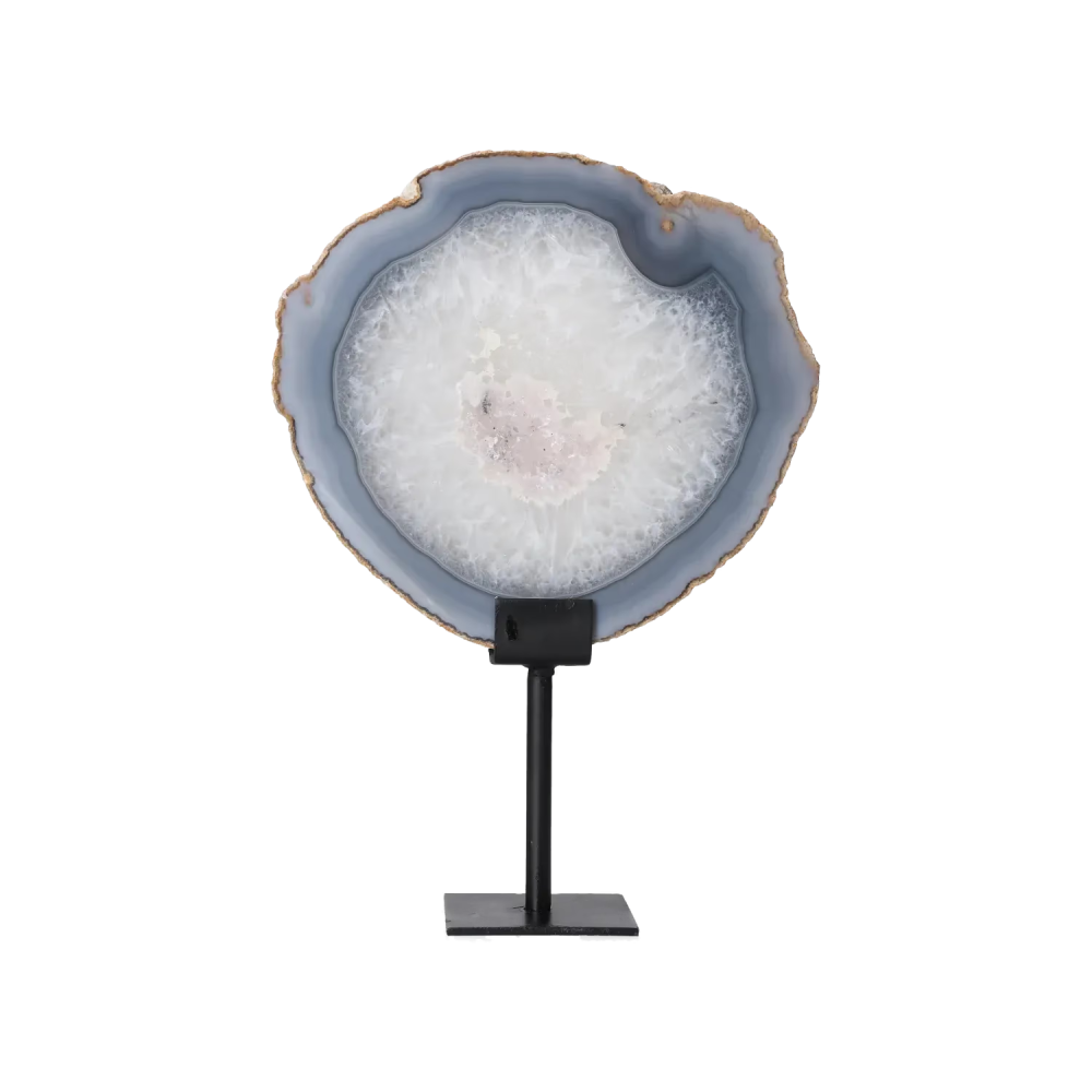 orbitvu|type:image2d