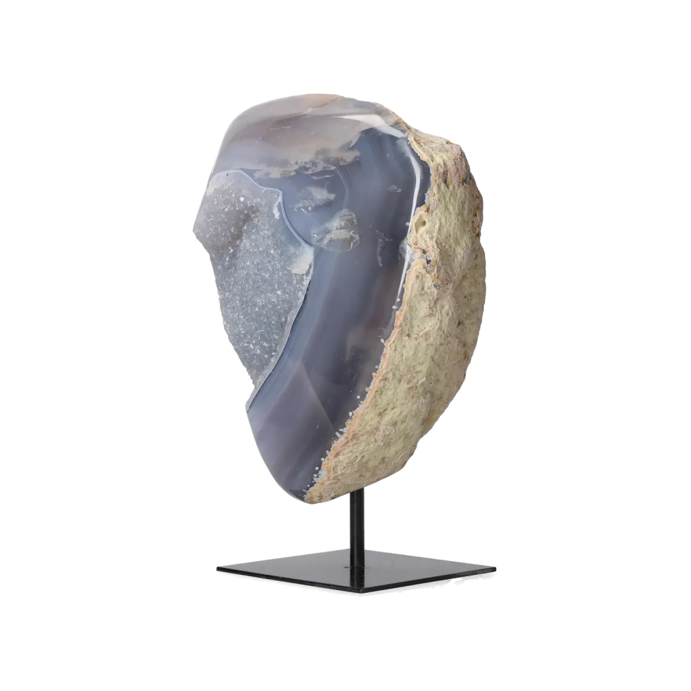 orbitvu|type:image2d