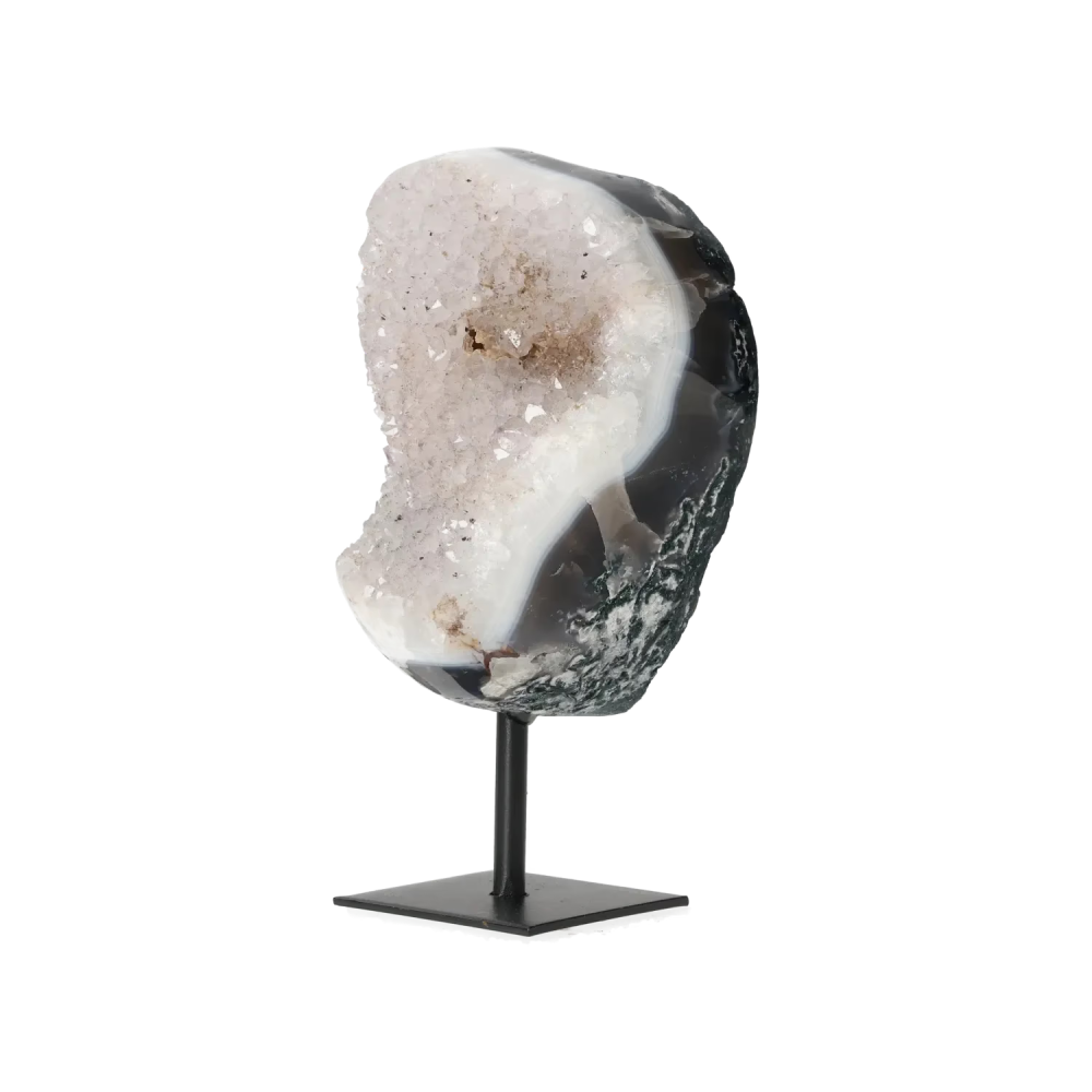 orbitvu|type:image2d