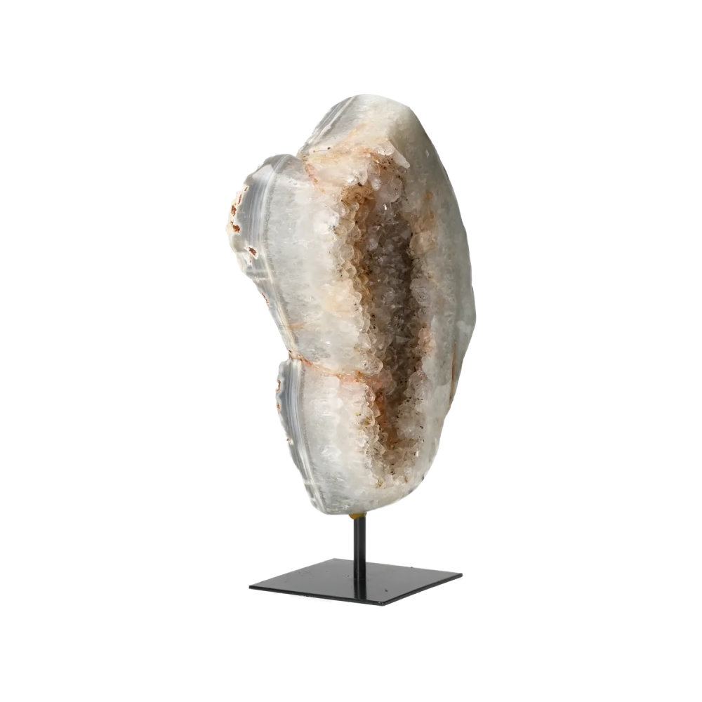orbitvu|type:image2d