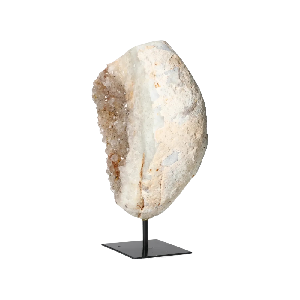 orbitvu|type:image2d