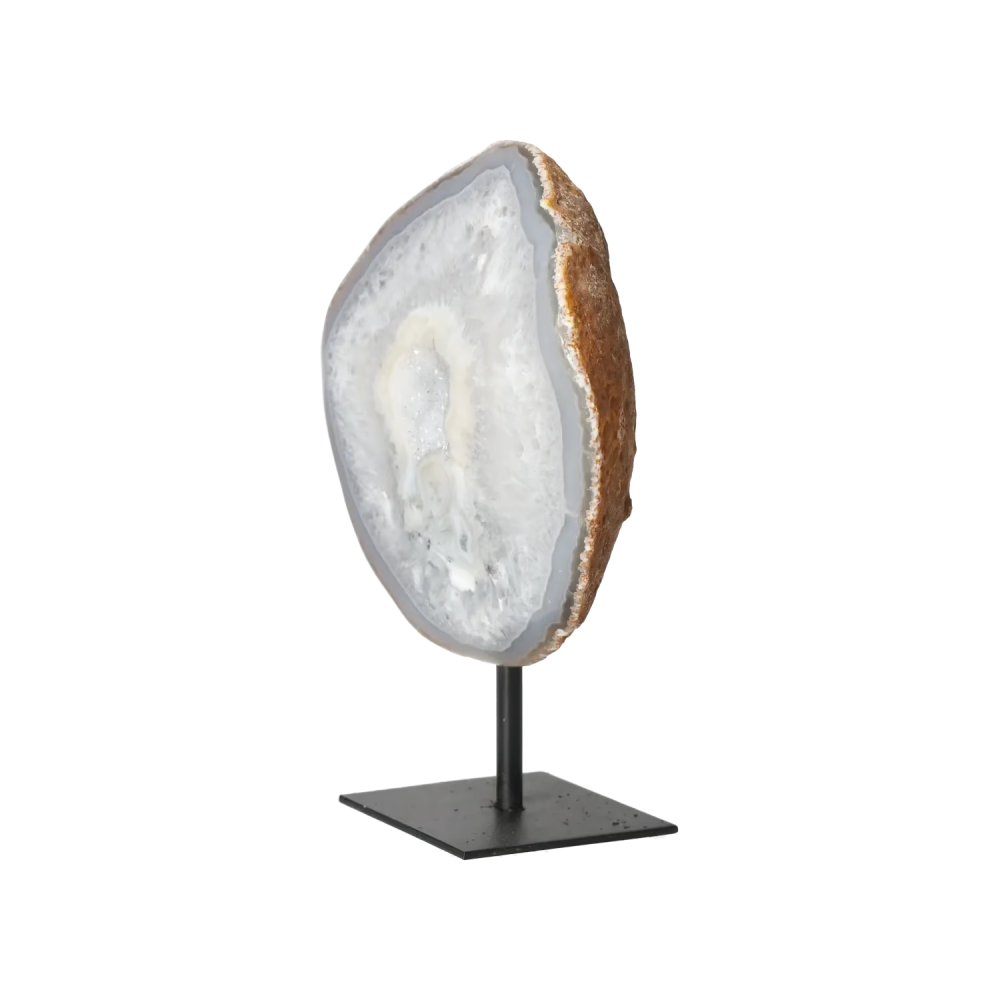 orbitvu|type:image2d