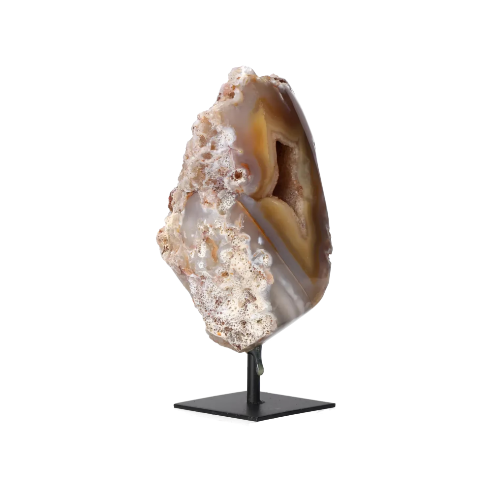 orbitvu|type:image2d