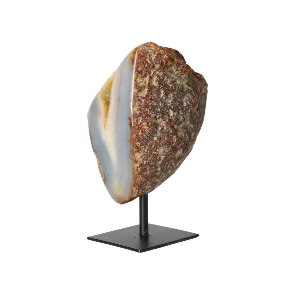 orbitvu|type:image2d