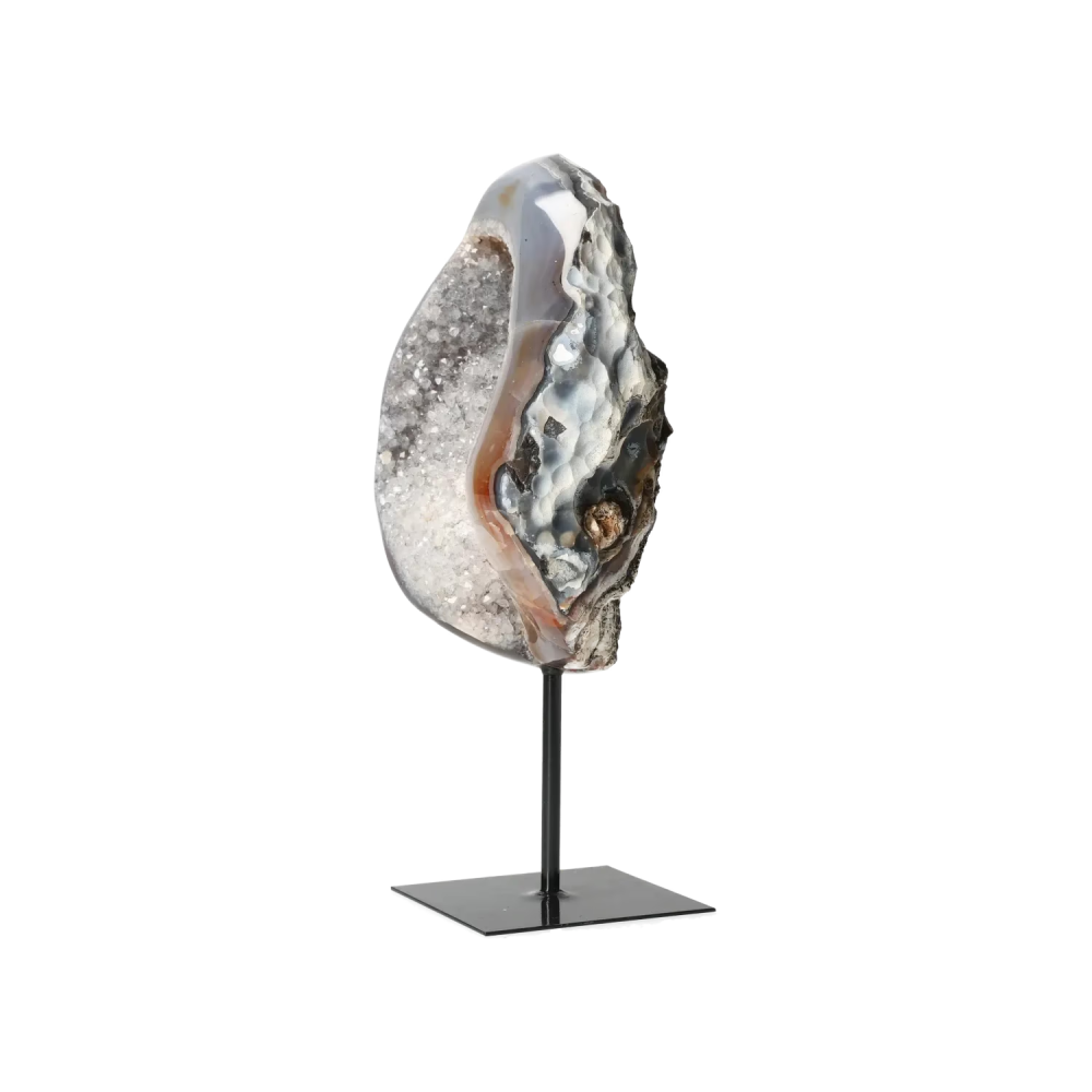 orbitvu|type:image2d