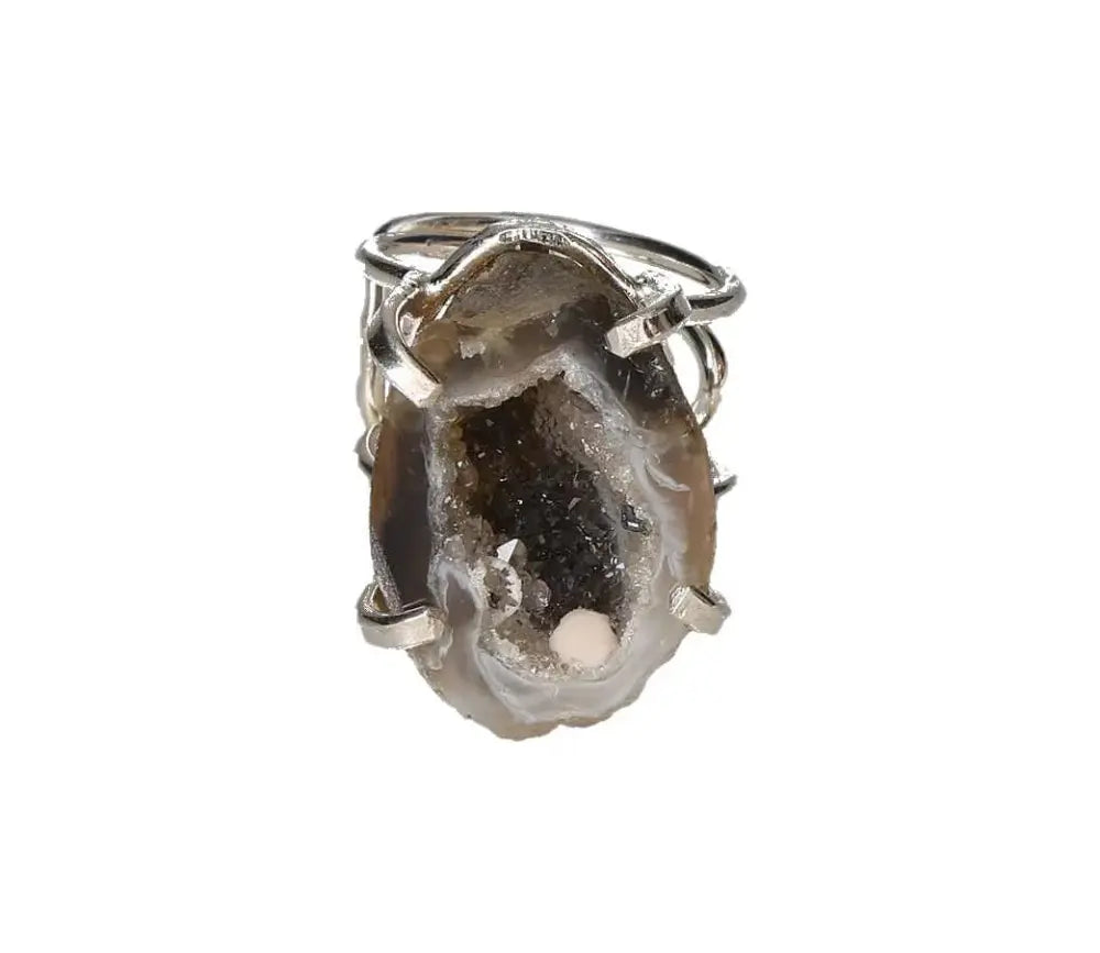 orbitvu|type:image2d