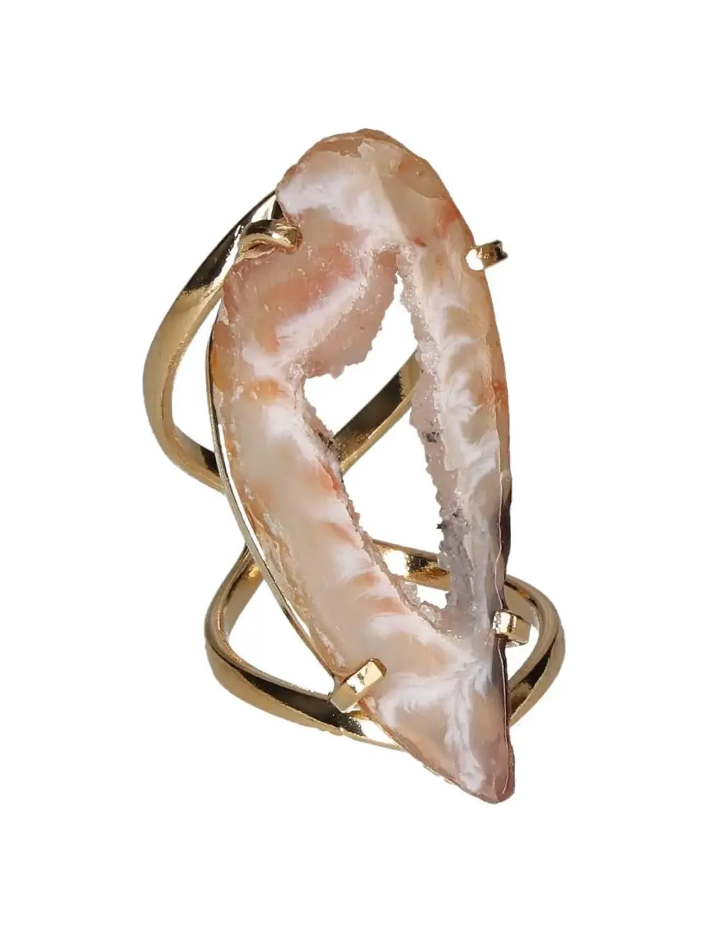 orbitvu|type:image2d