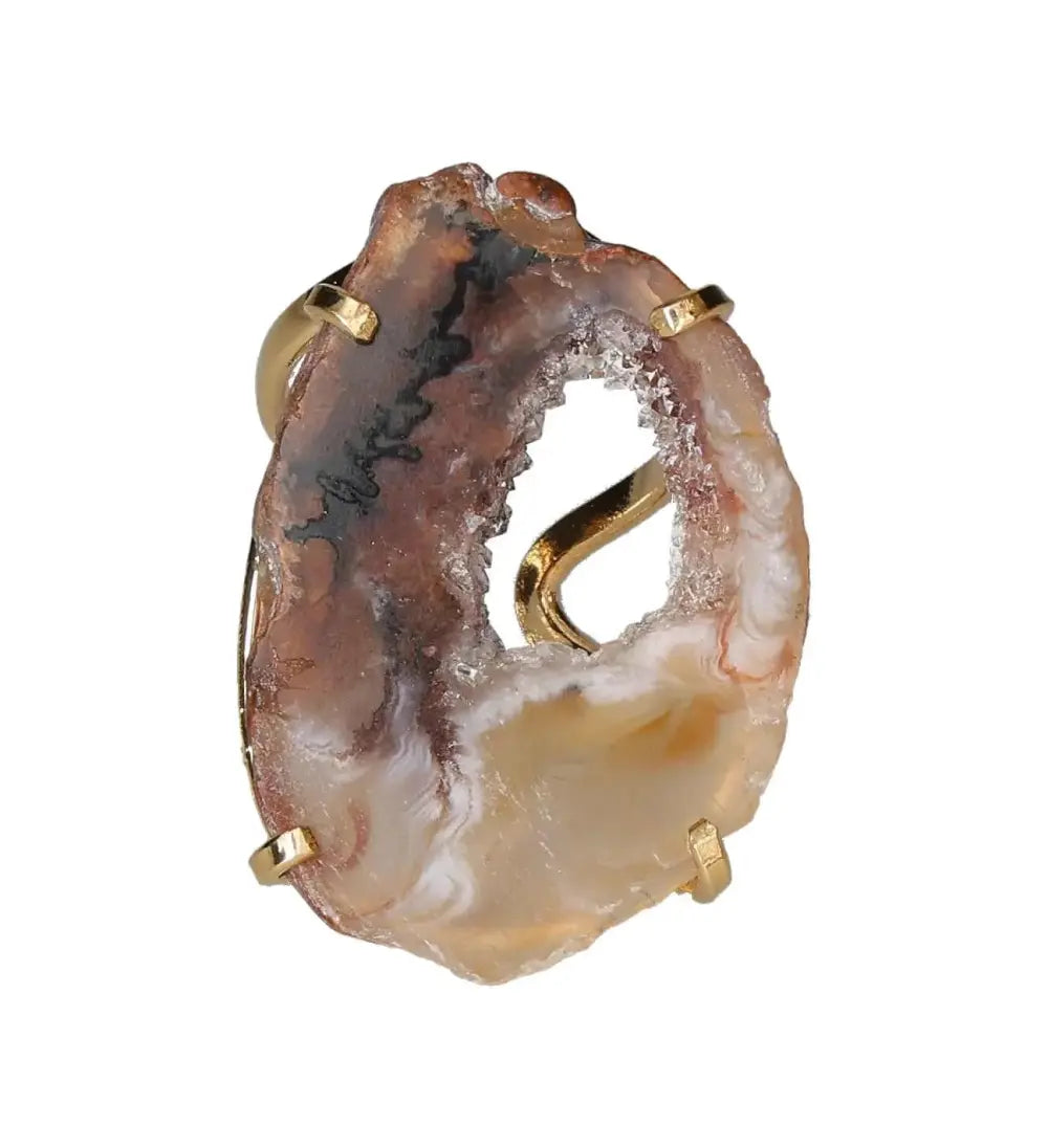 orbitvu|type:image2d