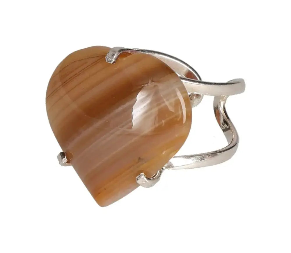 orbitvu|type:image2d