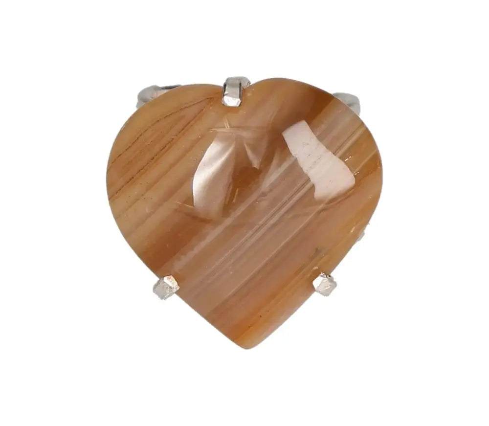 orbitvu|type:image2d