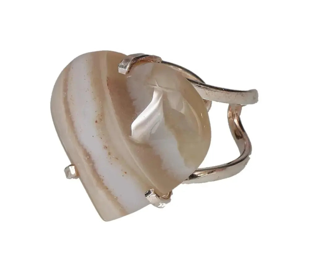 orbitvu|type:image2d