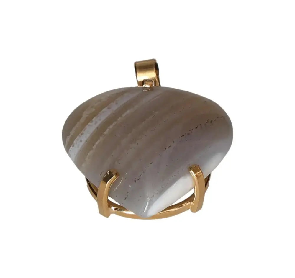 orbitvu|type:image2d