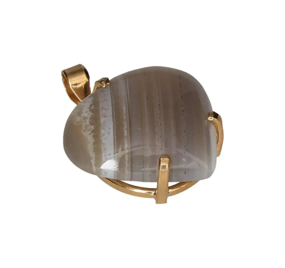 orbitvu|type:image2d