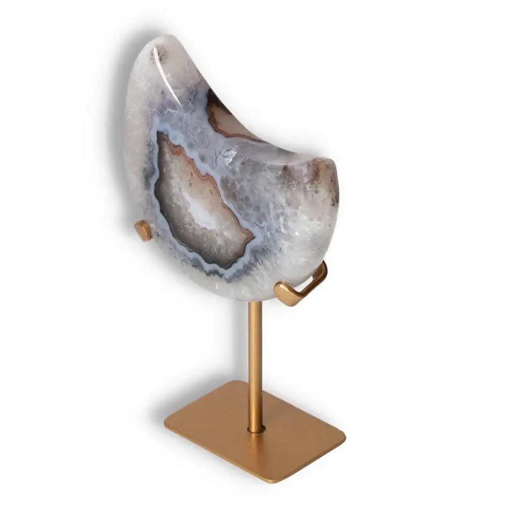 orbitvu|type:image2d