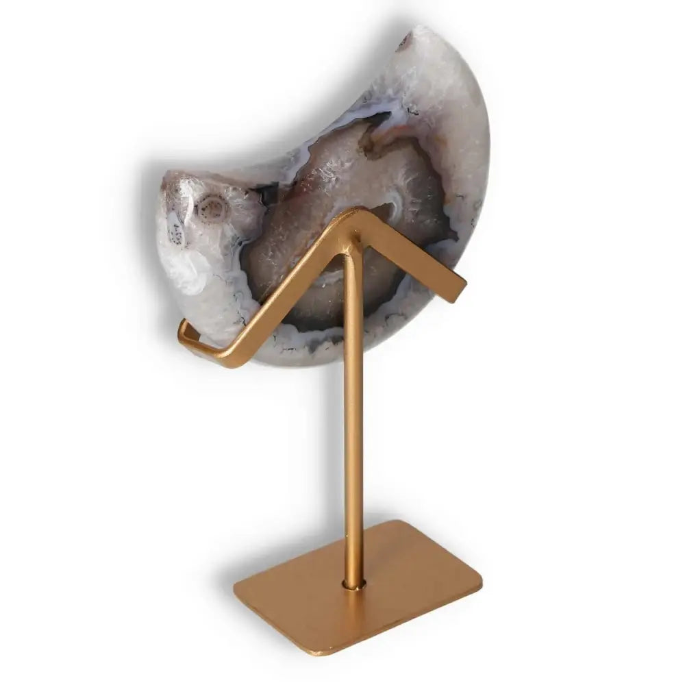 orbitvu|type:image2d