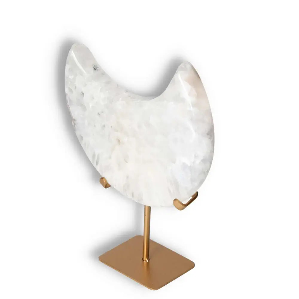 orbitvu|type:image2d