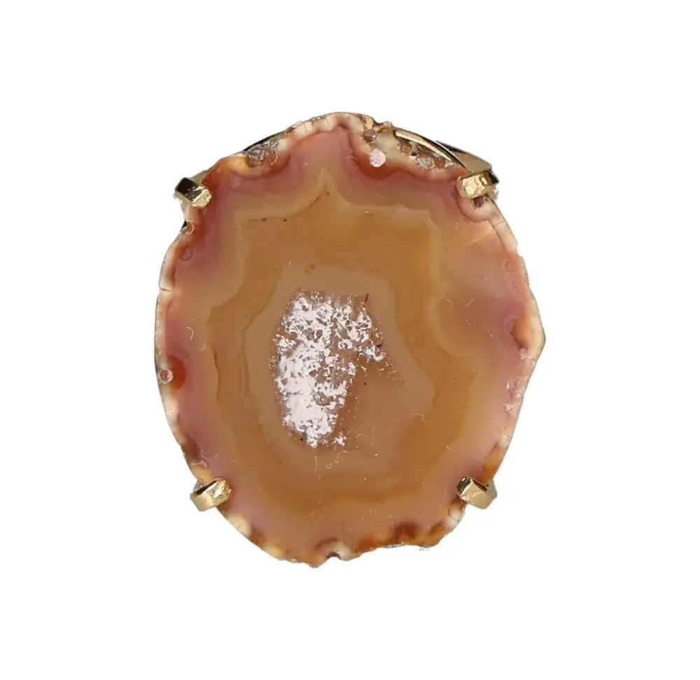 orbitvu|type:image2d