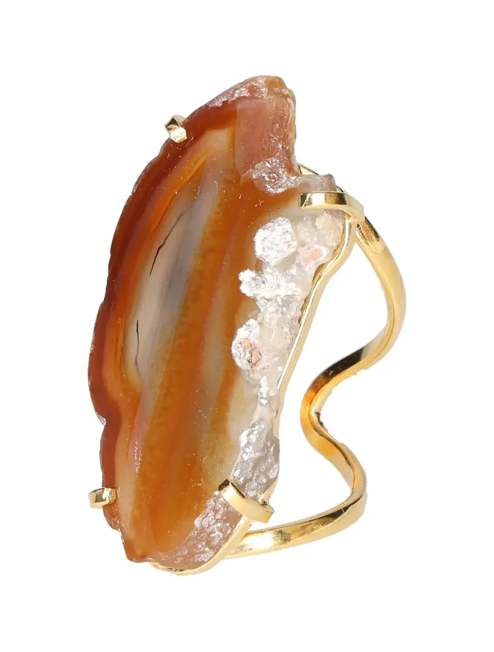 orbitvu|type:image2d