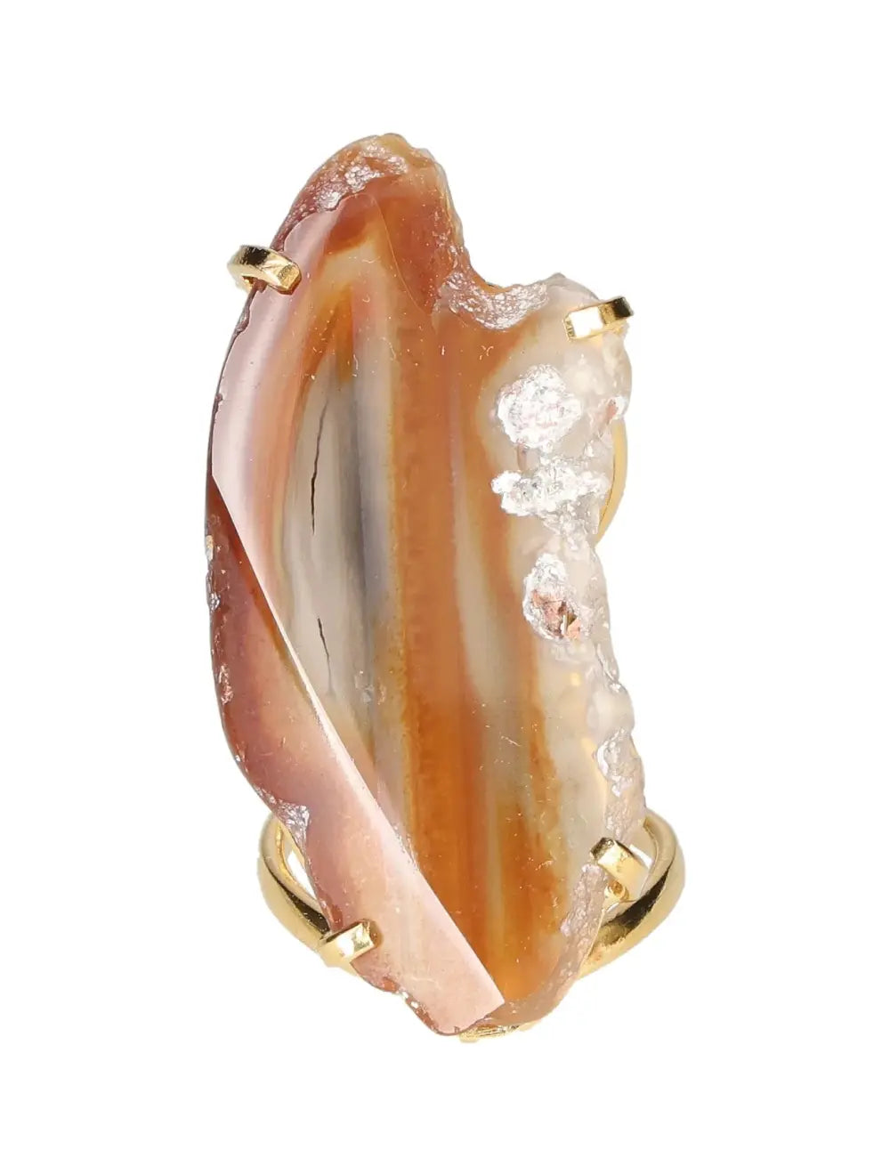 orbitvu|type:image2d