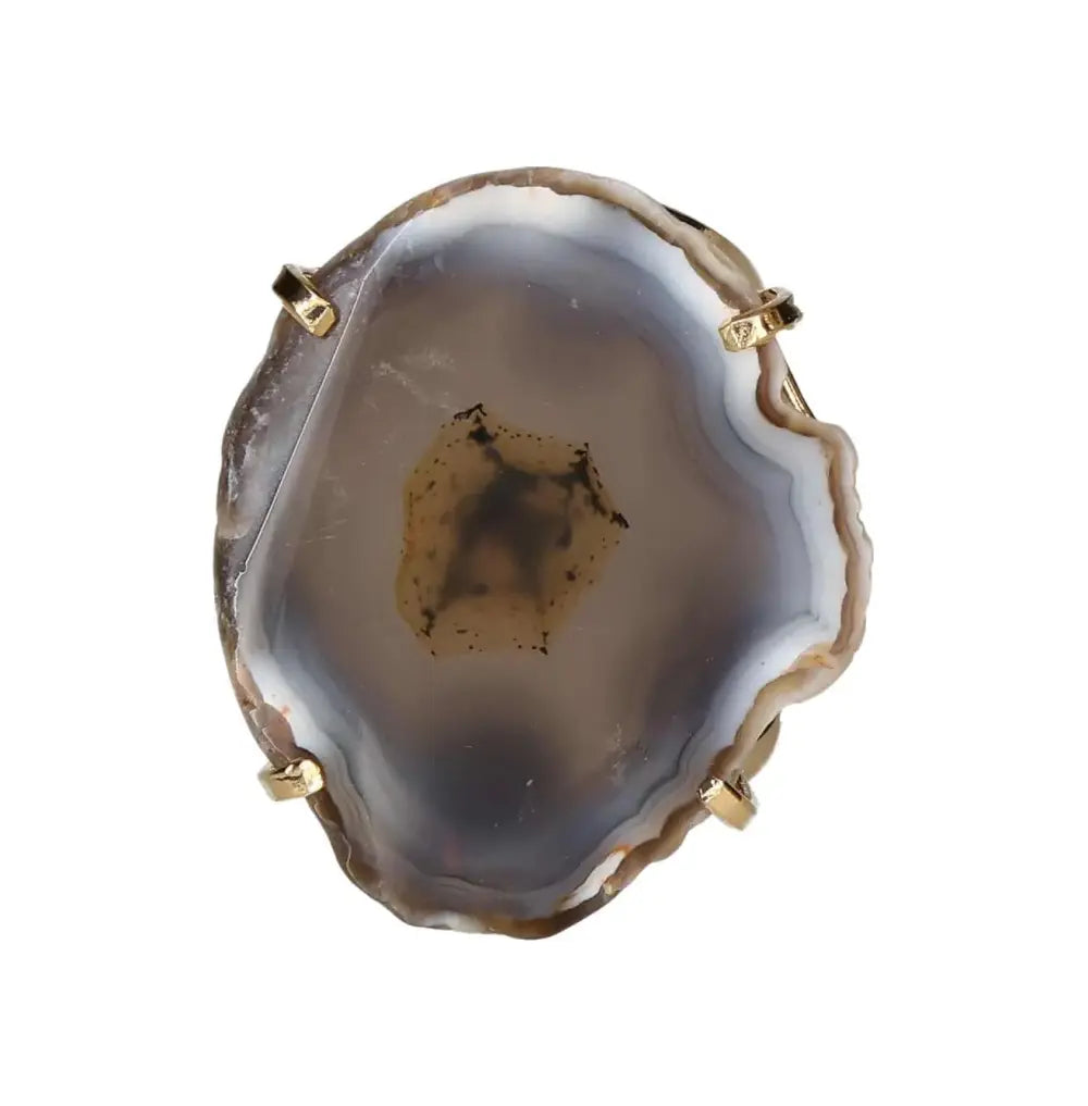 orbitvu|type:image2d