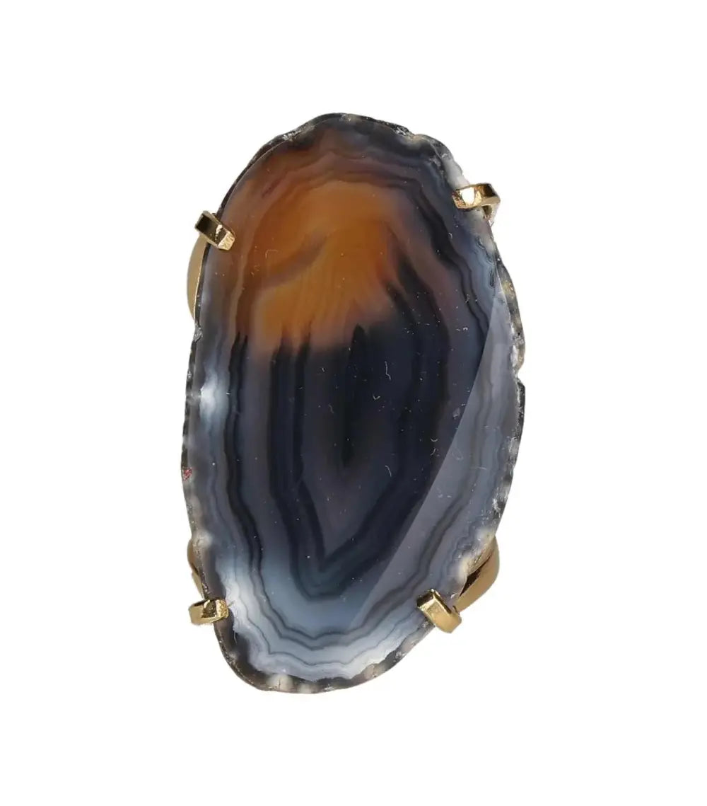 orbitvu|type:image2d