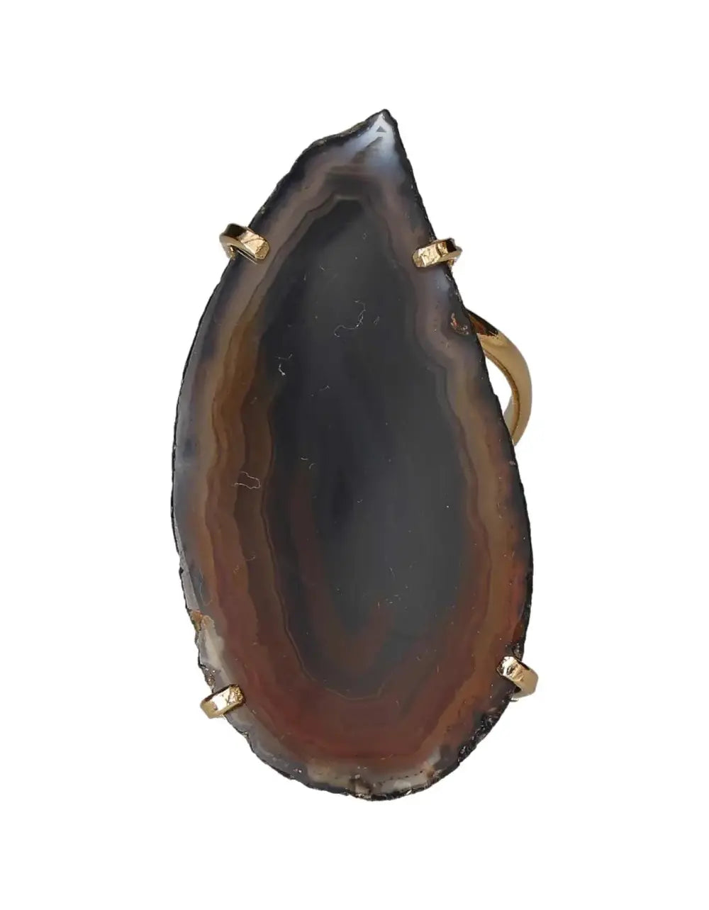 orbitvu|type:image2d