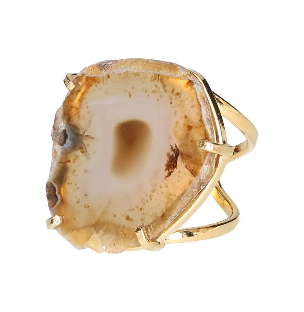 orbitvu|type:image2d