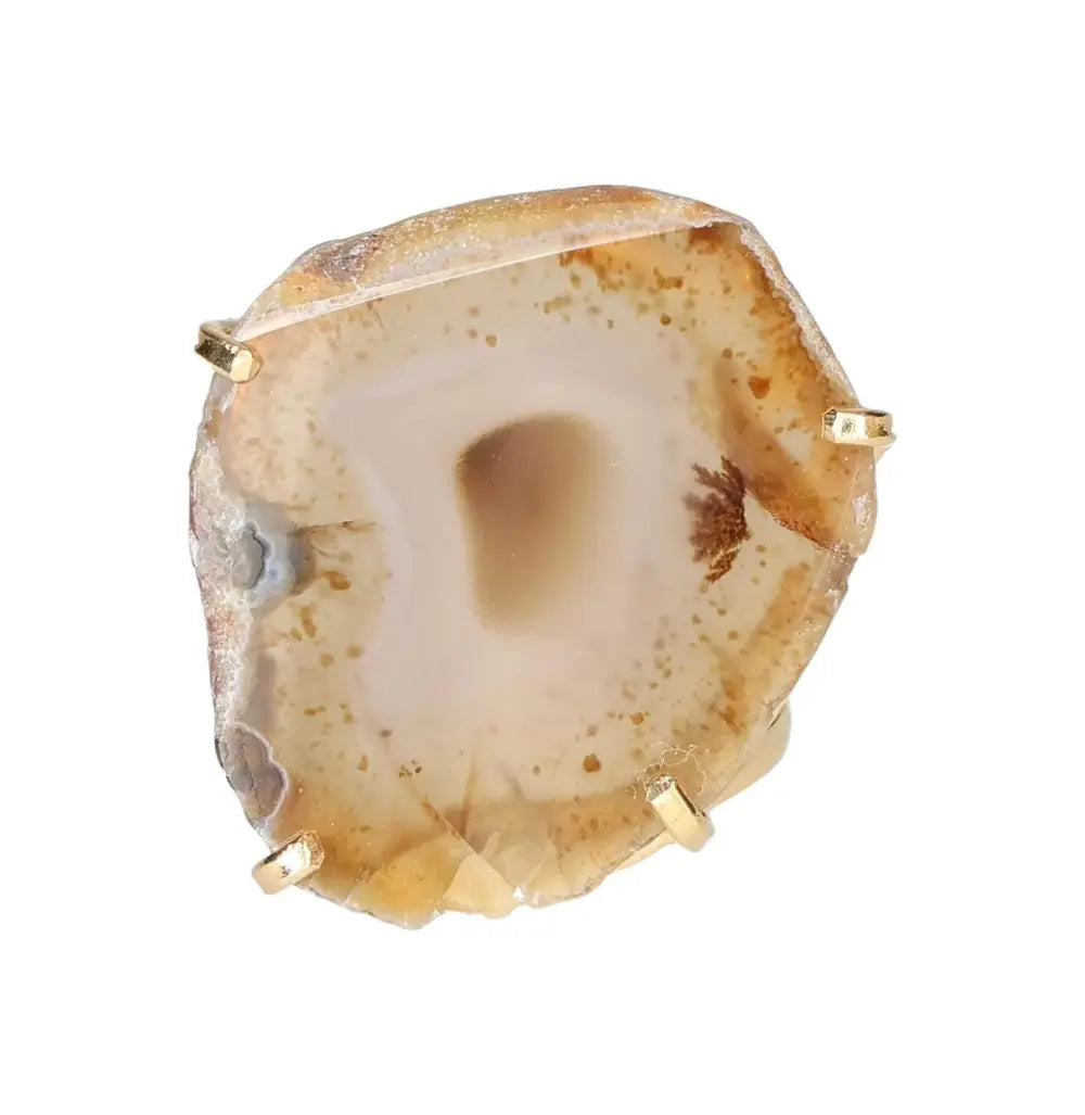 orbitvu|type:image2d