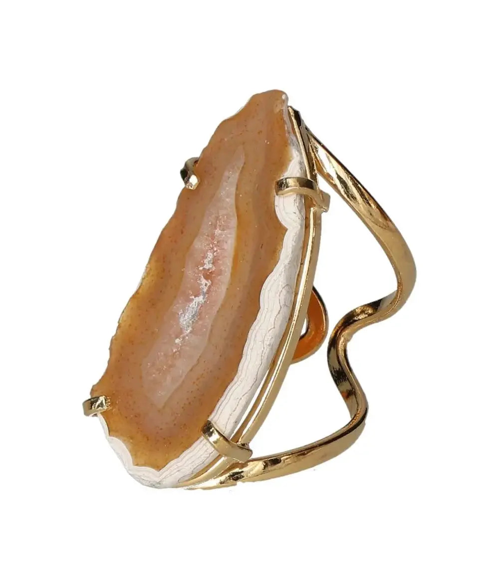 orbitvu|type:image2d