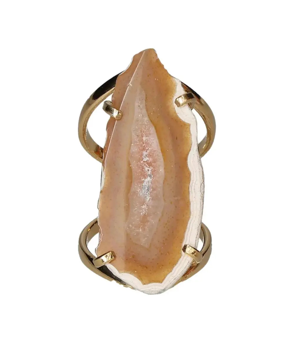 orbitvu|type:image2d