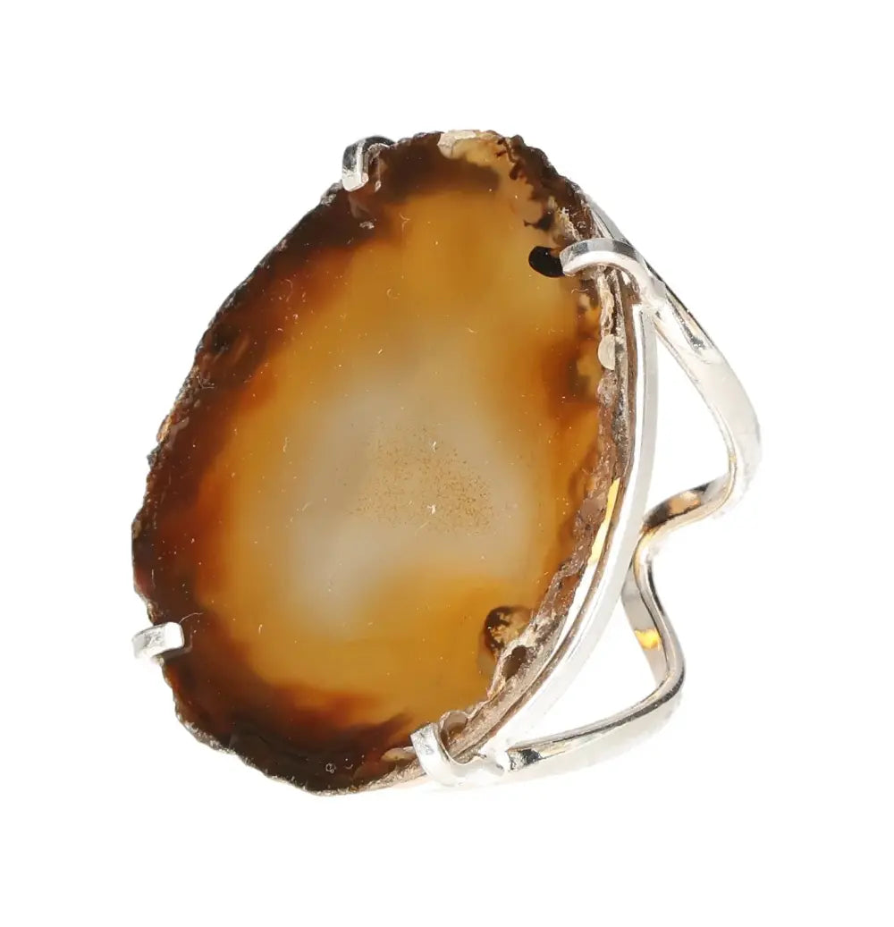 orbitvu|type:image2d