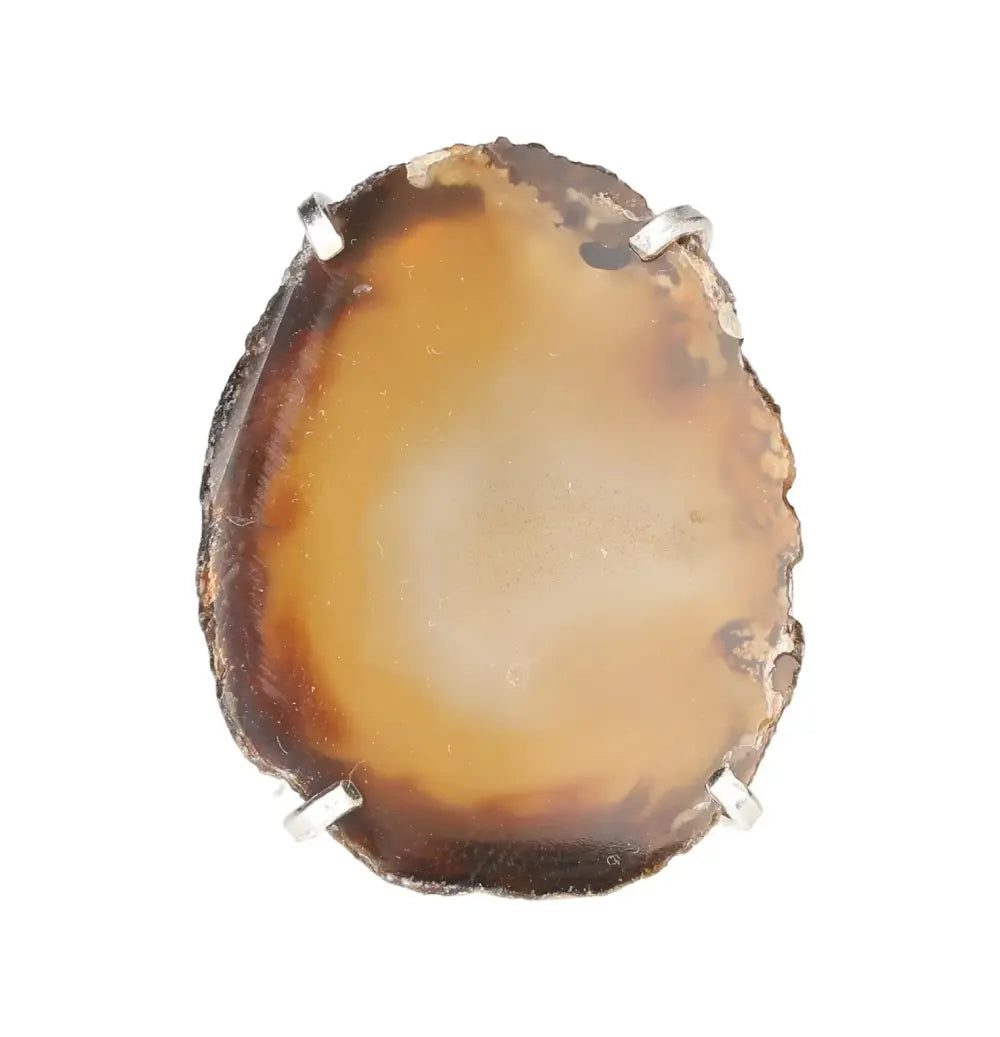 orbitvu|type:image2d