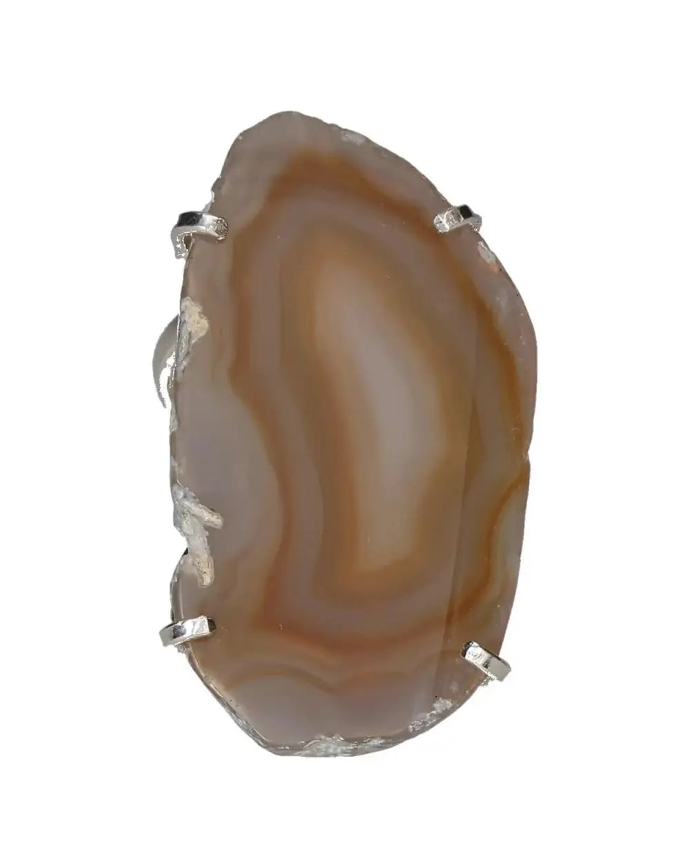 orbitvu|type:image2d