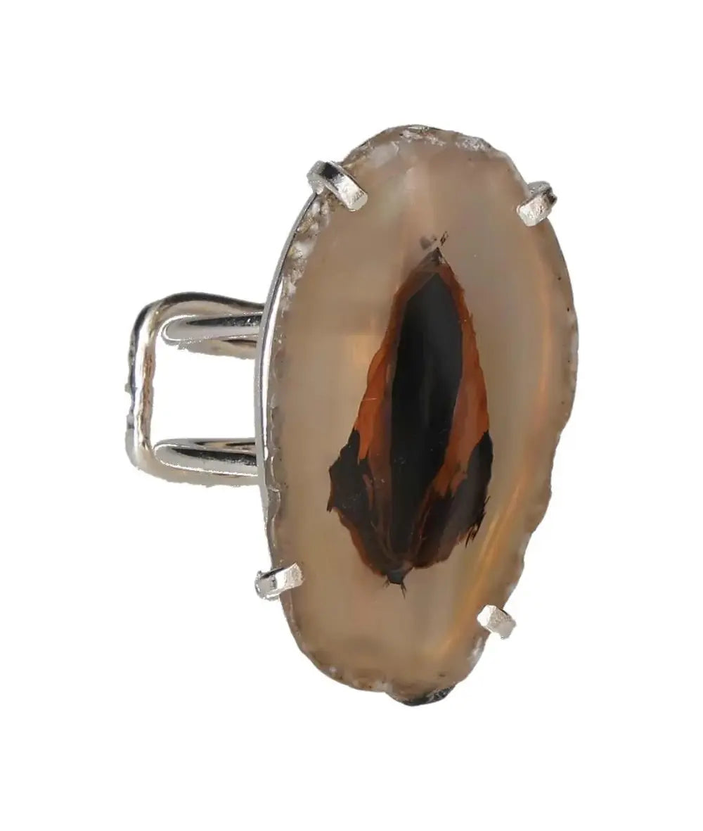 orbitvu|type:image2d