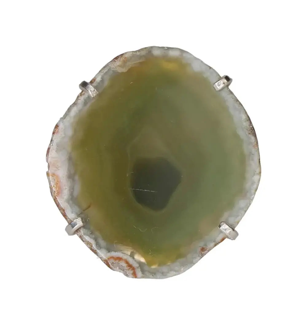 orbitvu|type:image2d