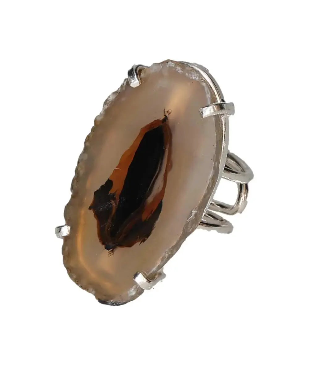 orbitvu|type:image2d