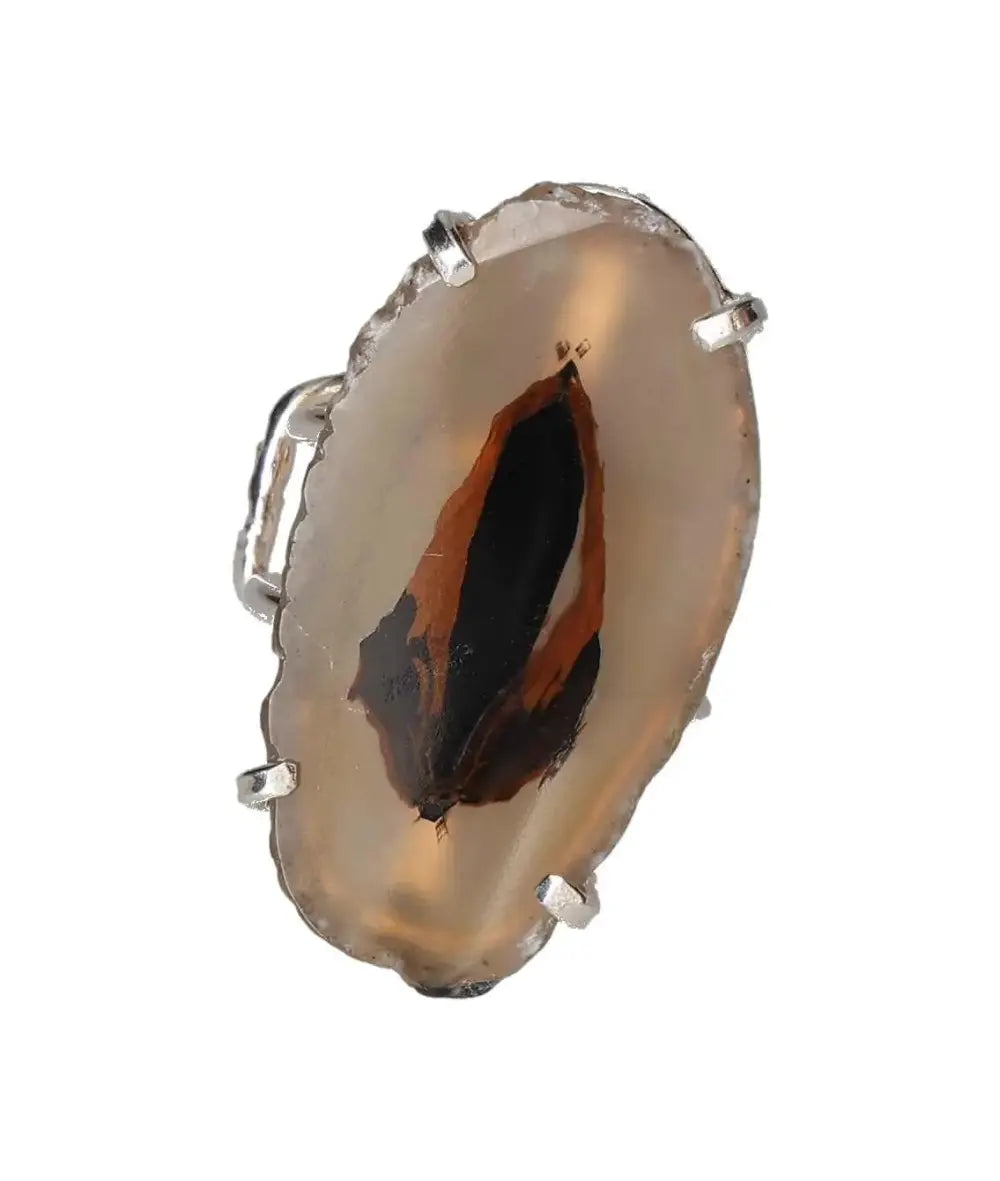 orbitvu|type:image2d