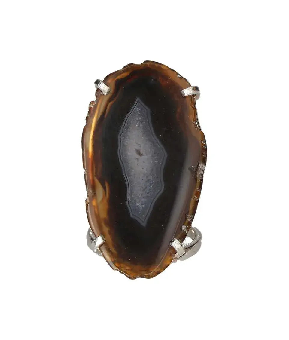 orbitvu|type:image2d