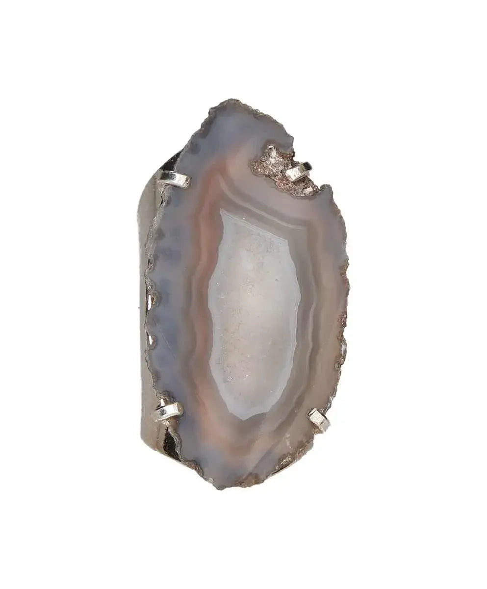 orbitvu|type:image2d