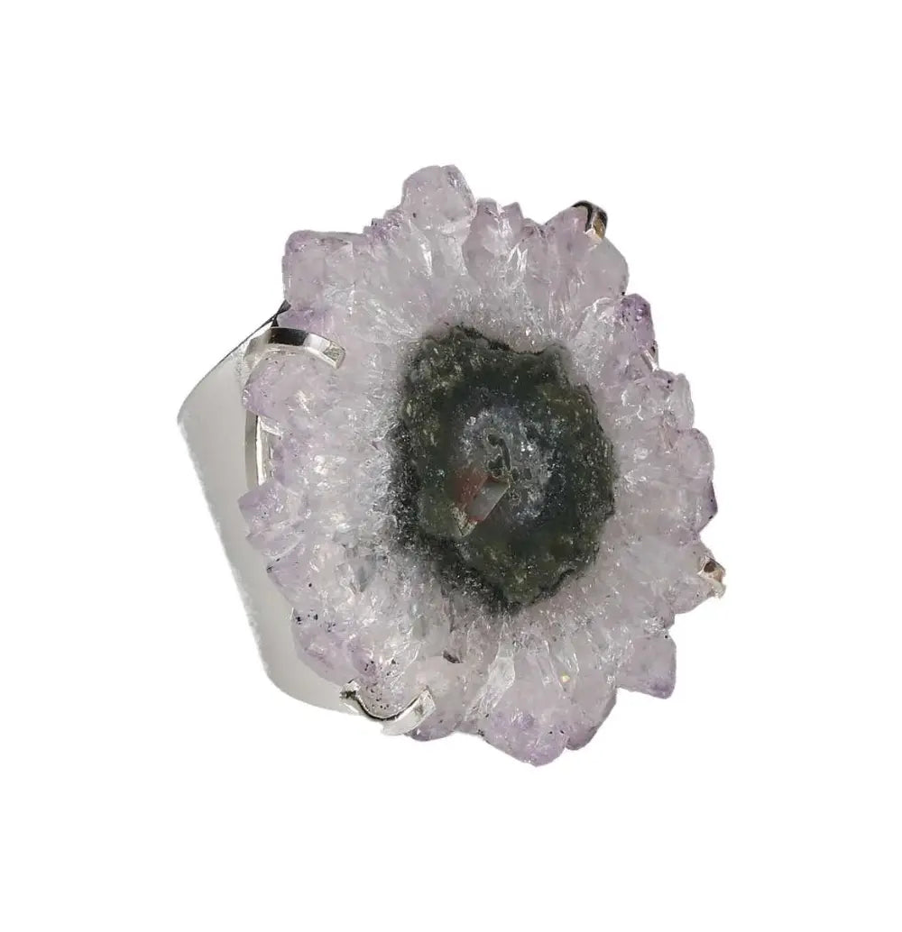 orbitvu|type:image2d