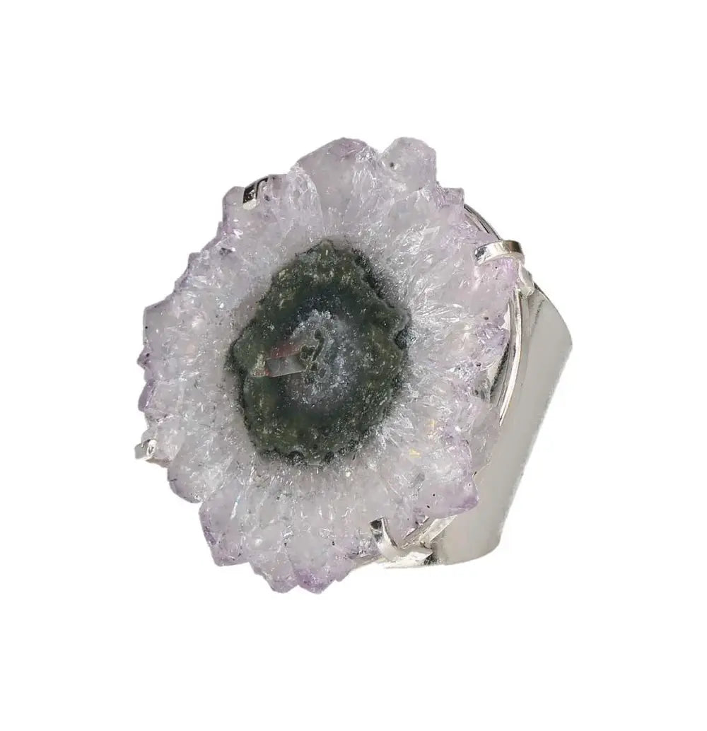 orbitvu|type:image2d