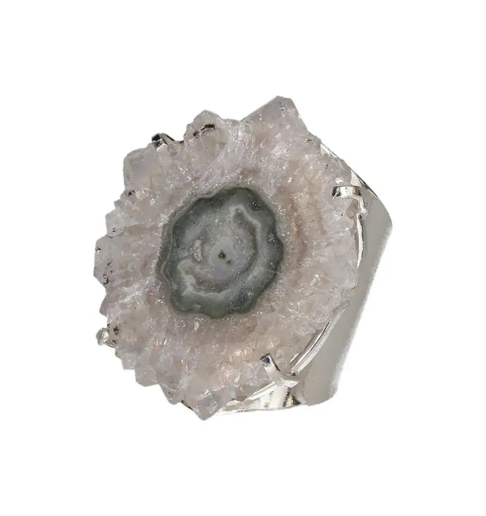 orbitvu|type:image2d